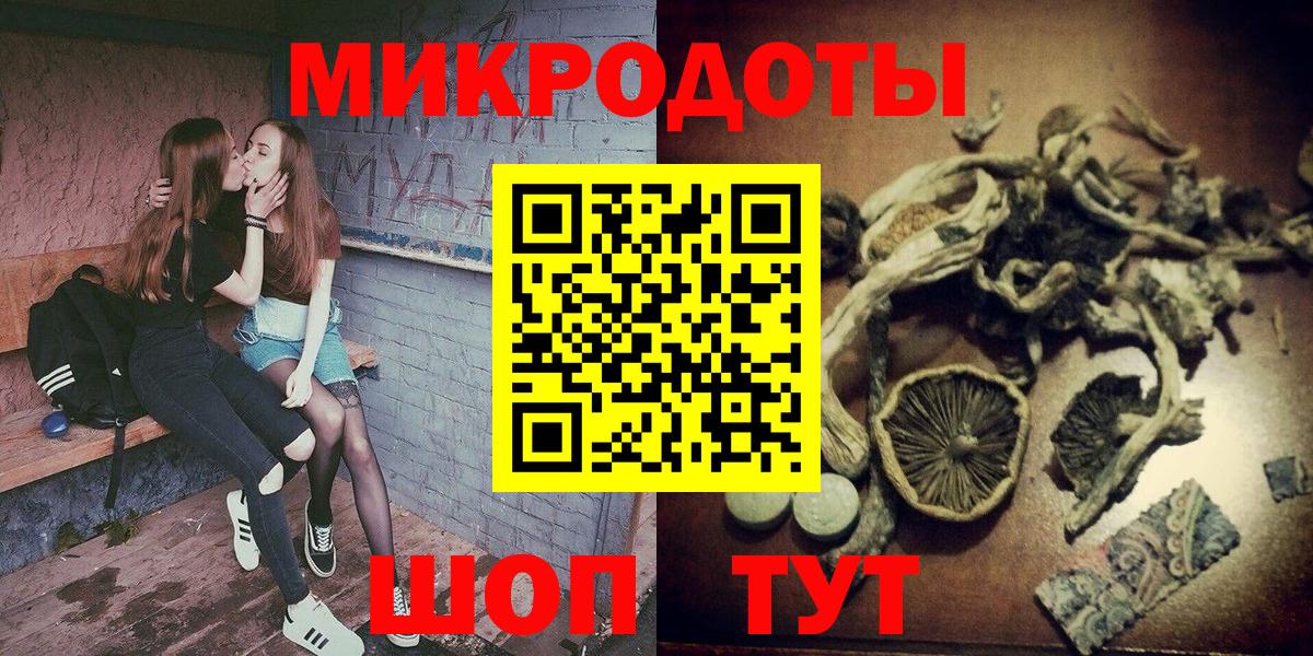 Псилоцибиновые грибы Cubensis Миллерово