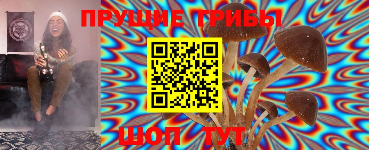 Псилоцибиновые грибы Magic Shrooms  Галлюциногенные грибы ЛСД  Вход с VPN  закладки  Миллерово 